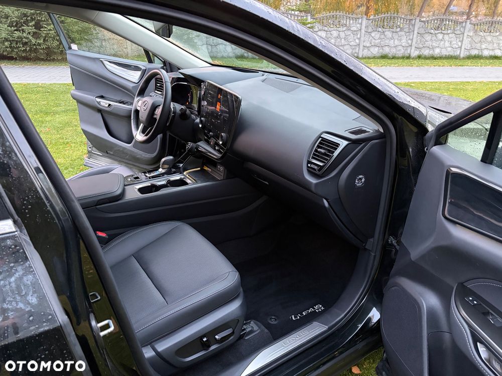 Lexus NX - 25