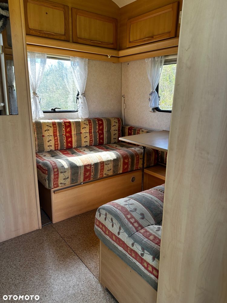 Coachman Amara - 8