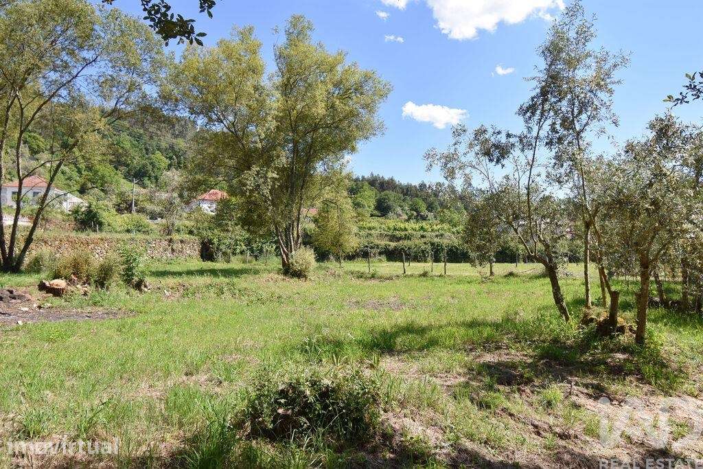 Terreno Agrícola em São Miguel, Santa Eufémia e Rabaçal - Grande imagem: 5/24