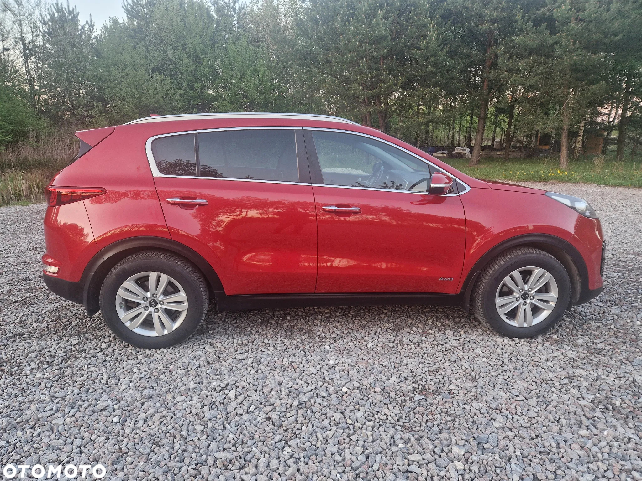 Kia Sportage 1.6 T-GDI L Business Line Plus 4WD DCT - 6
