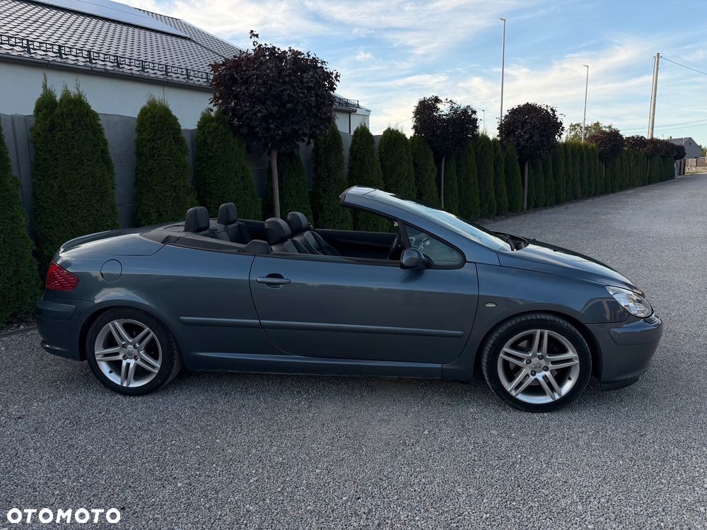 Peugeot 307 CC 2.0 - 13