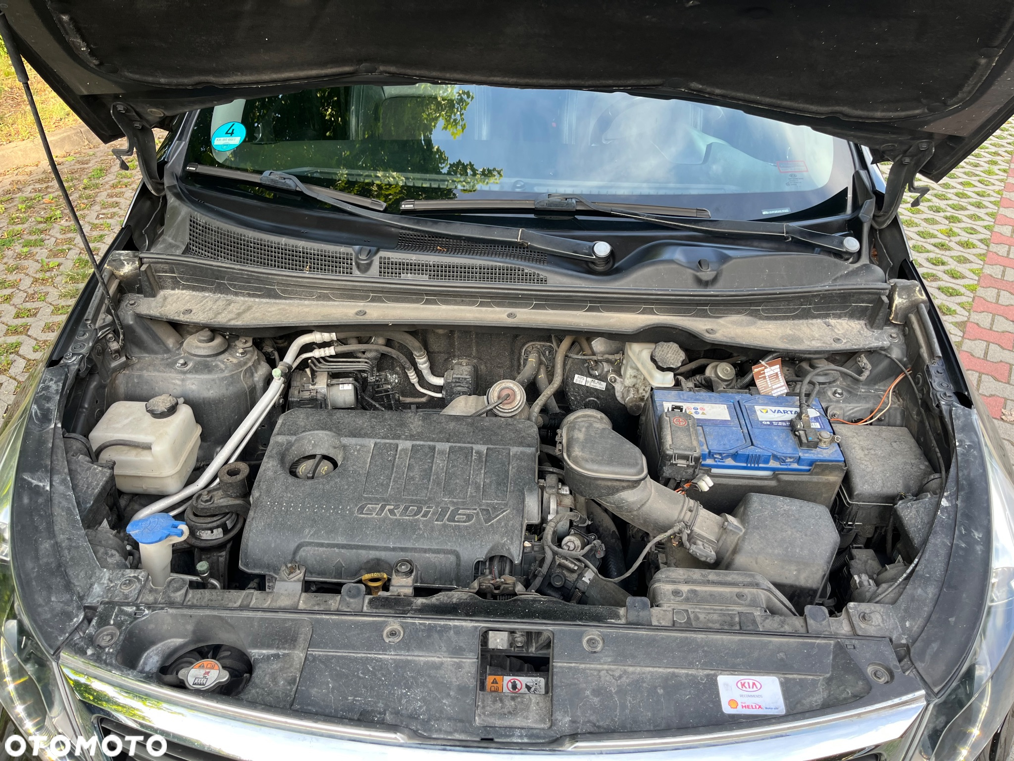 Kia Sportage - 23