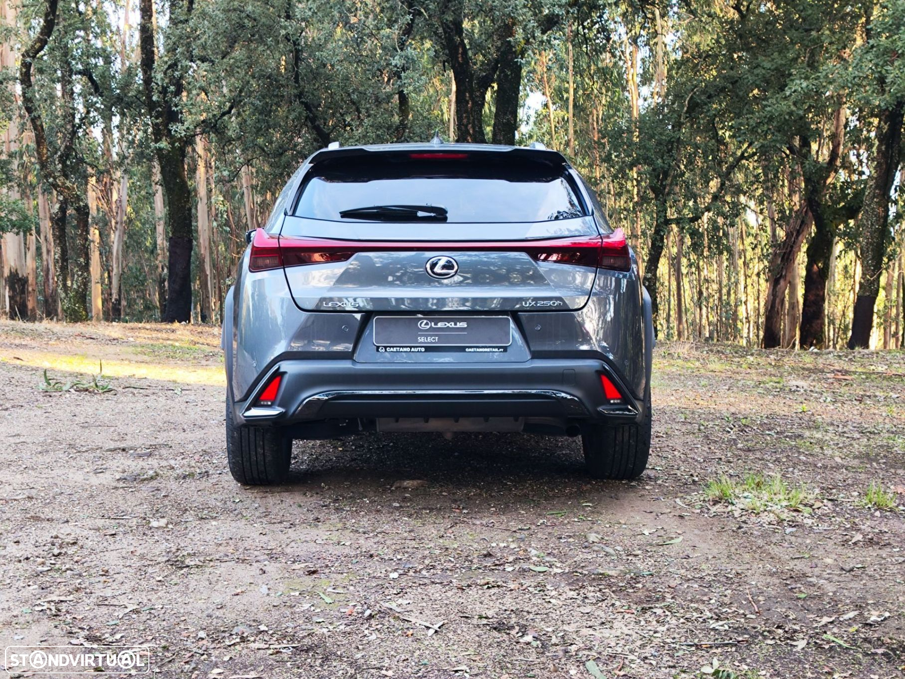Lexus UX 250h Sport (Ecrã 12.3) - 6