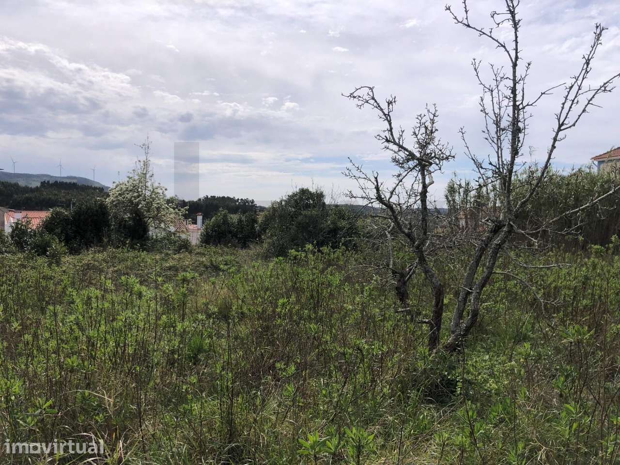 INVESTIMENTO SEGURO A 45 MIN DE LISBOA - RUÍNA E TERRENO URBANO COM 17 - Grande imagem: 5/10
