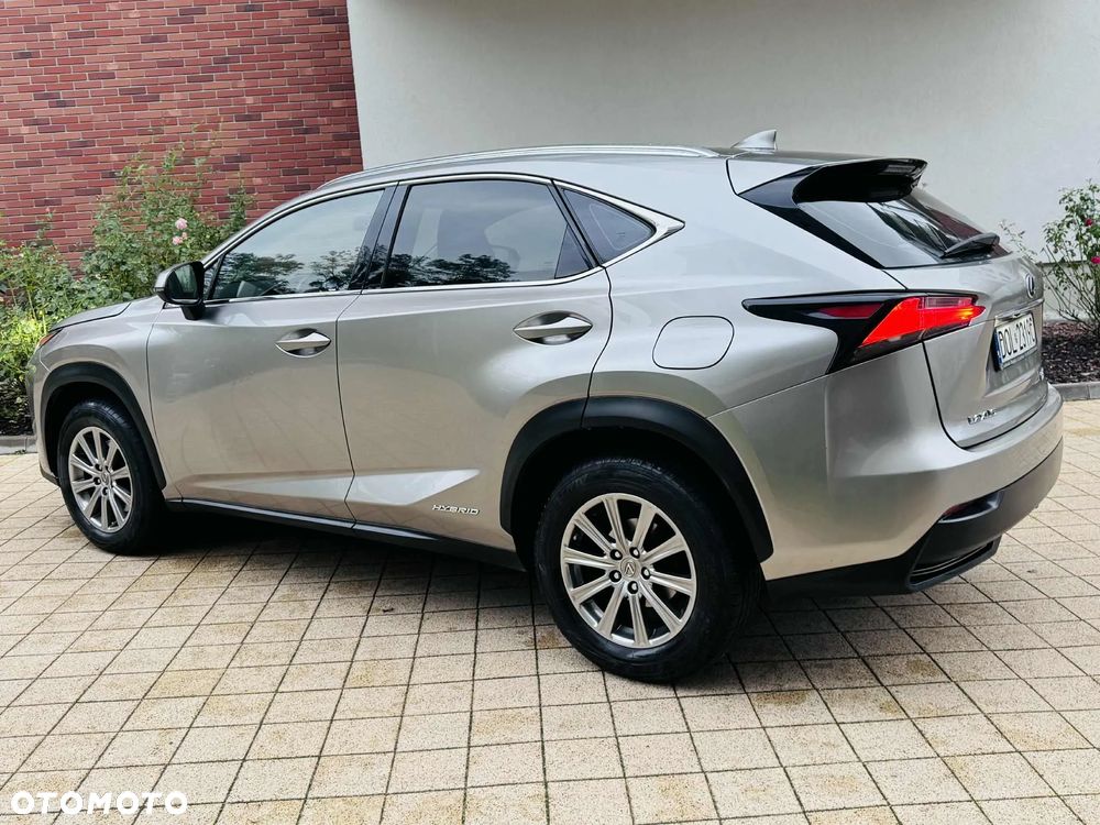 Lexus NX 300h Elite 2WD - 6