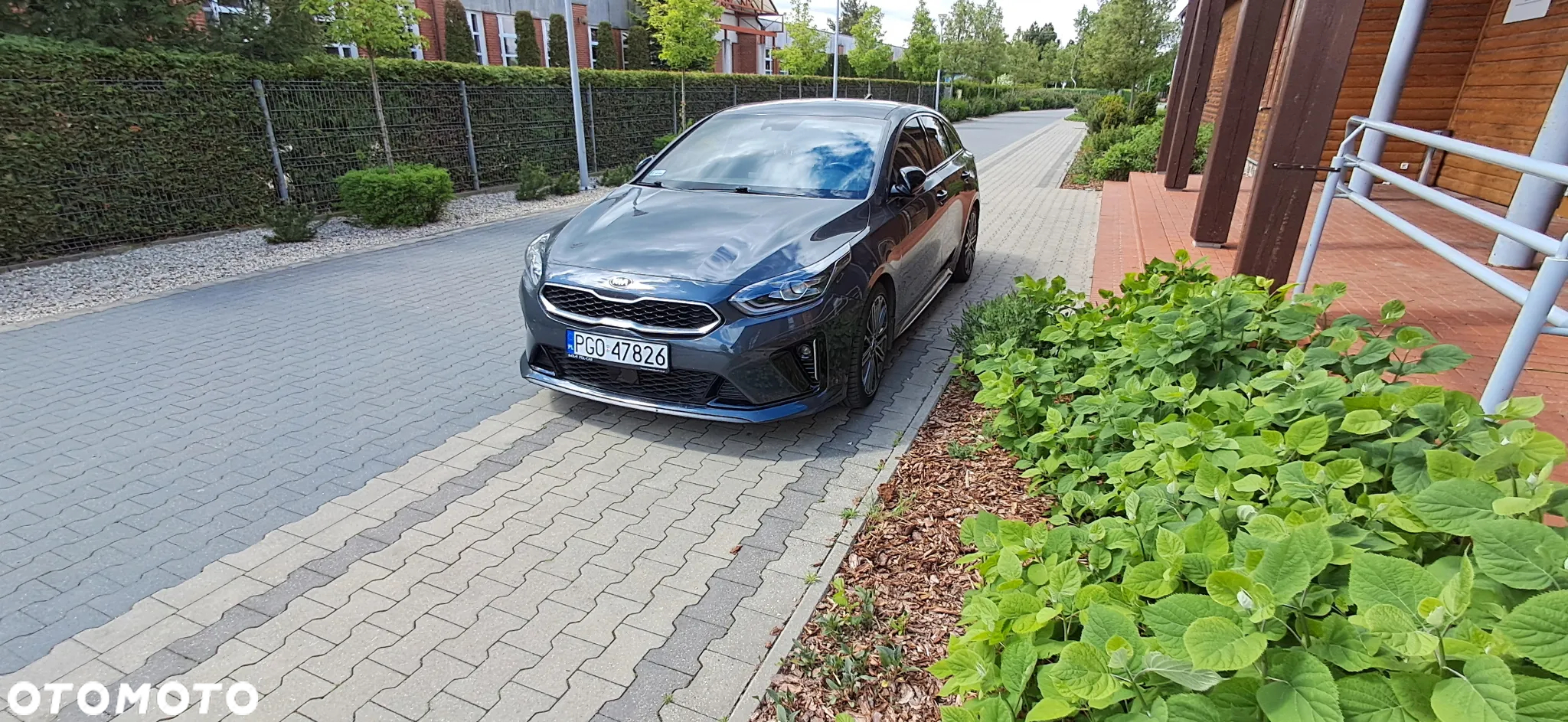 Kia ProCeed 1.5 T-GDI GT Line DCT - 2