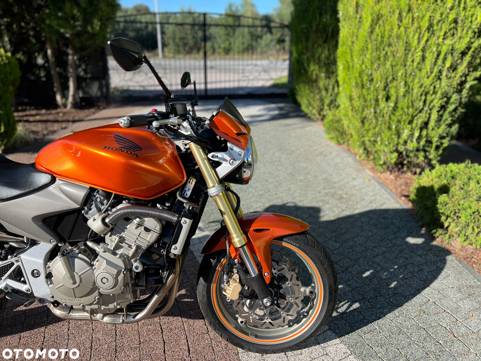 Honda Hornet - 6