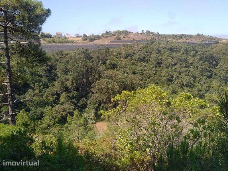 Terreno Rústico com 2.875 m² em Alto Famoes, Mafra. - Grande imagem: 3/7