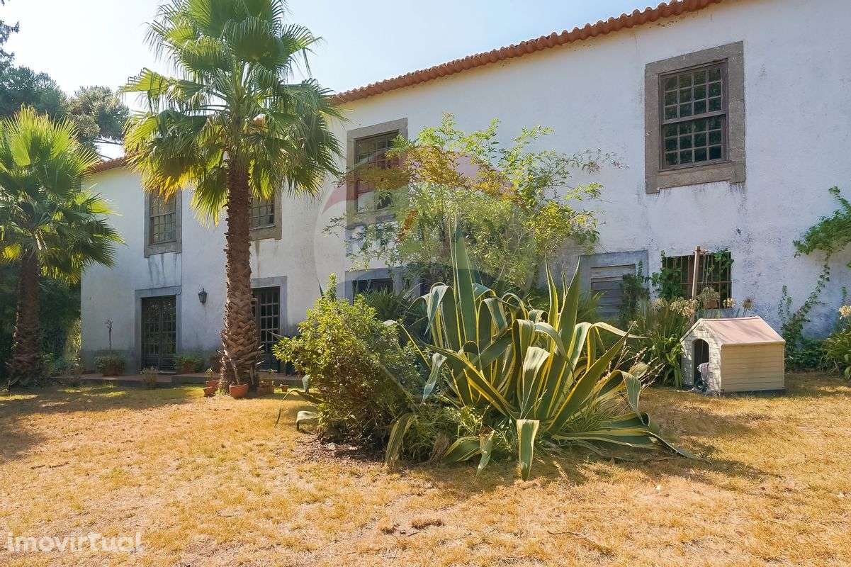 Quinta T5 para venda - Grande imagem: 2/48