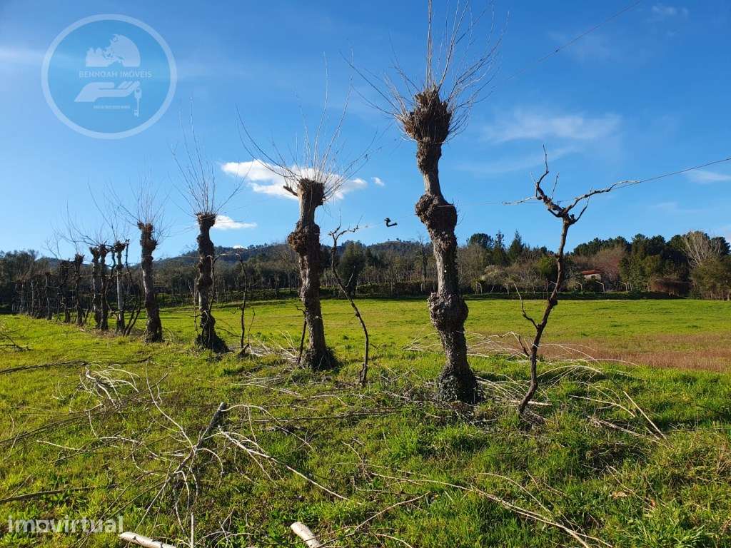 Quinta à venda, localizada no Lugar de Água Redonda, Cabeceiras de ... – pohled 3