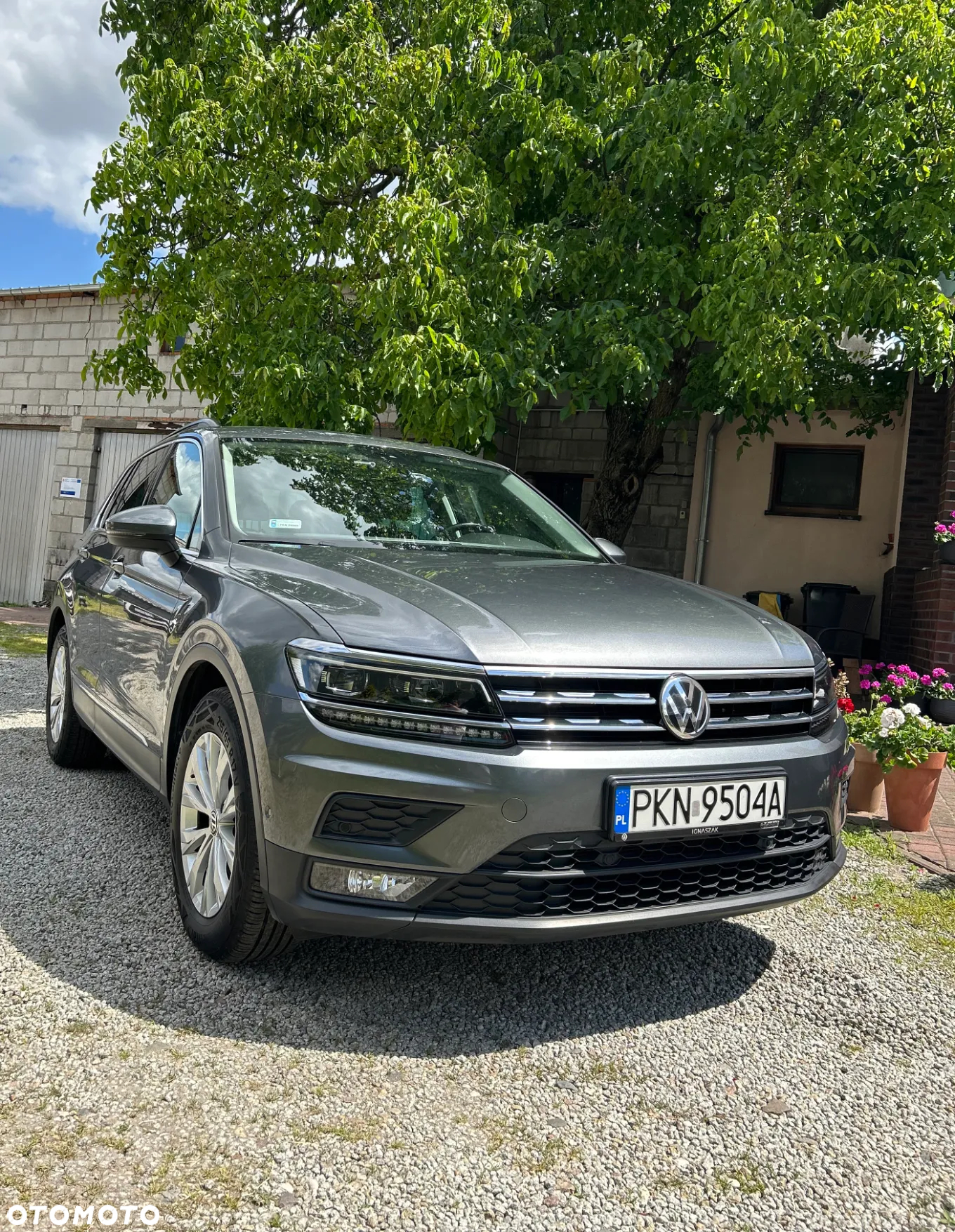 Volkswagen Tiguan 1.5 TSI EVO Comfortline DSG - 3