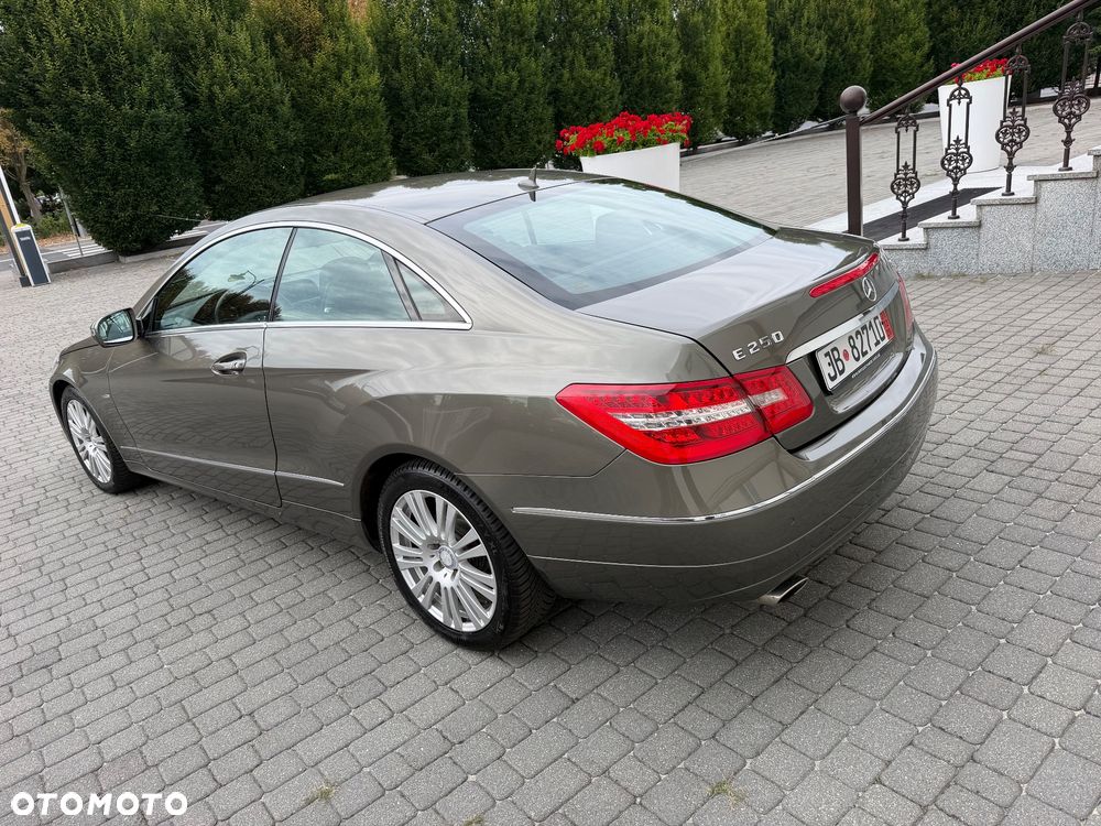 Mercedes-Benz Klasa E 250 CDI DPF BlueEFFICIENCY 7G-TRONIC Avantgarde - 12