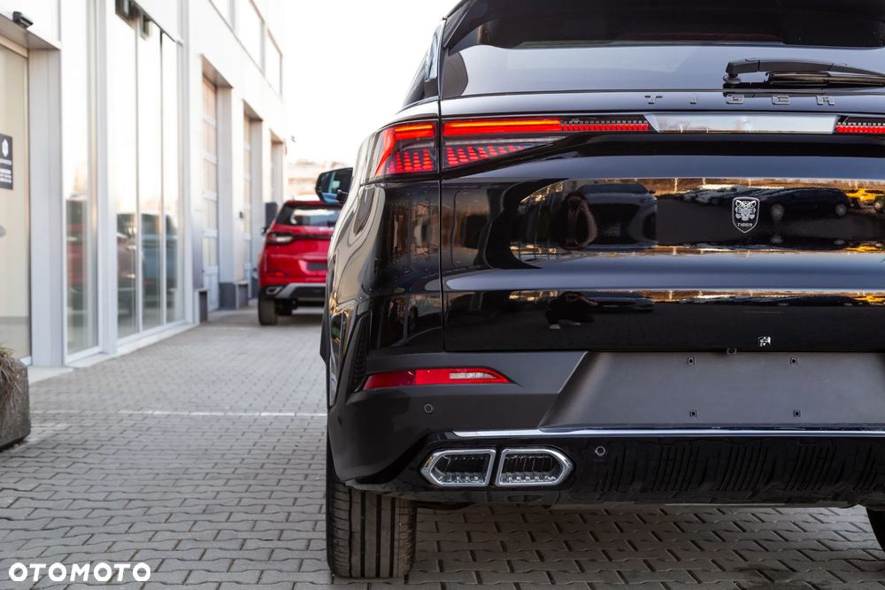 DR MOTOR TIGER EIGHT - 7