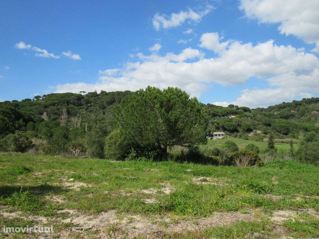 Terreno Rústico de 46.250 m2 em Azeitão – Natureza e Potencial em Harm - Grande imagem: 4/7