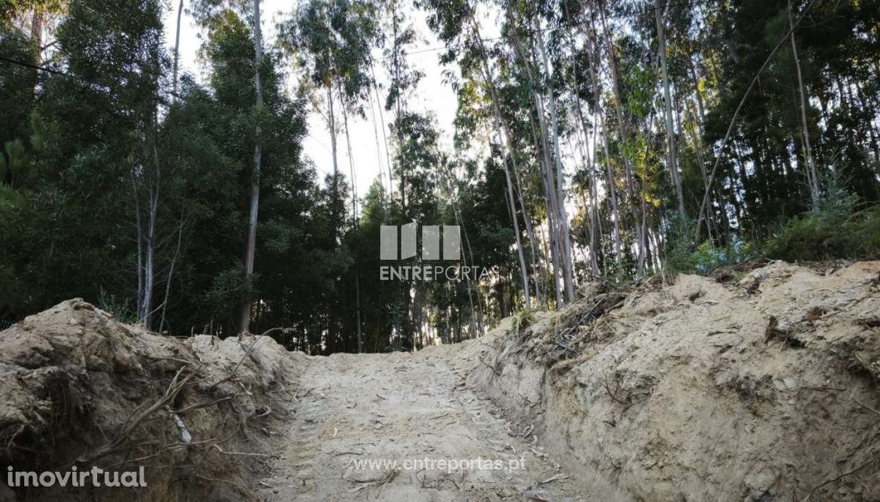 Venda de Terreno para construção, Meixedo, Viana do Castelo - Grande imagem: 5/18