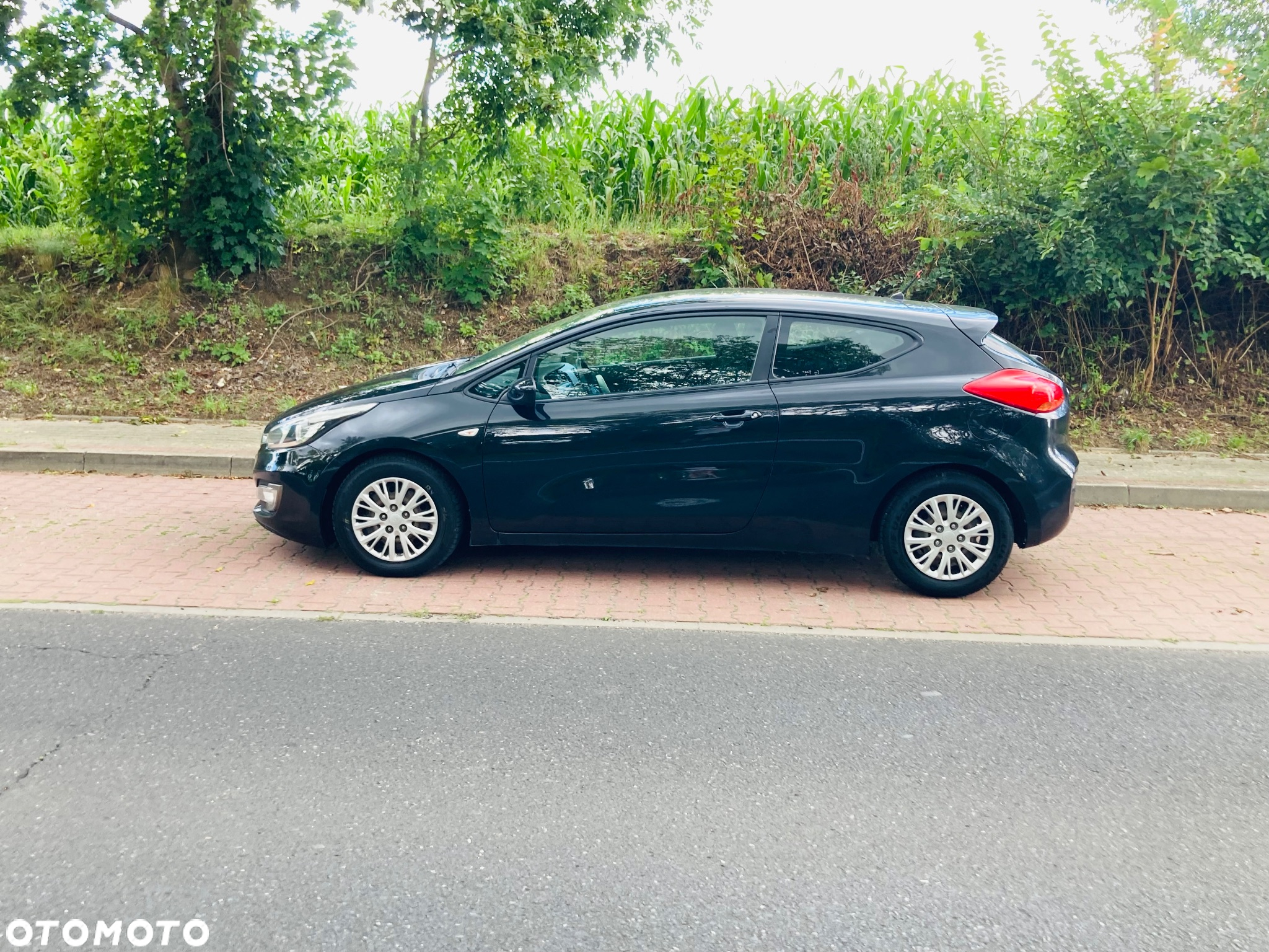 Kia ProCeed Pro_cee'd 1.4 CRDI M - 15