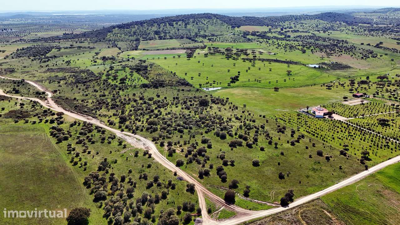 Terreno Misto em Monsaraz, Reguengos de Monsaraz - Grande imagem: 3/15