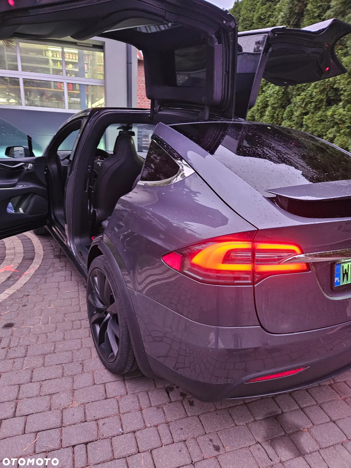 Tesla Model X P 100 D - 14