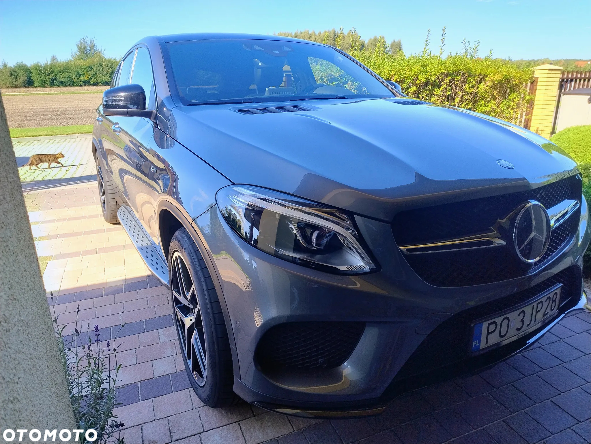 Mercedes-Benz GLE AMG Coupe 43 4-Matic - 5