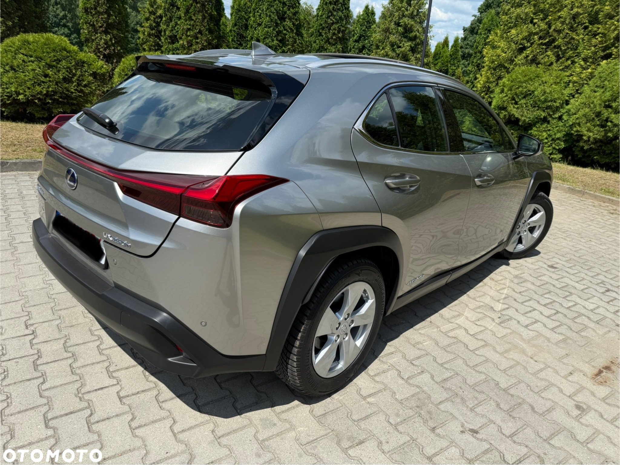 Lexus UX 250h - 6