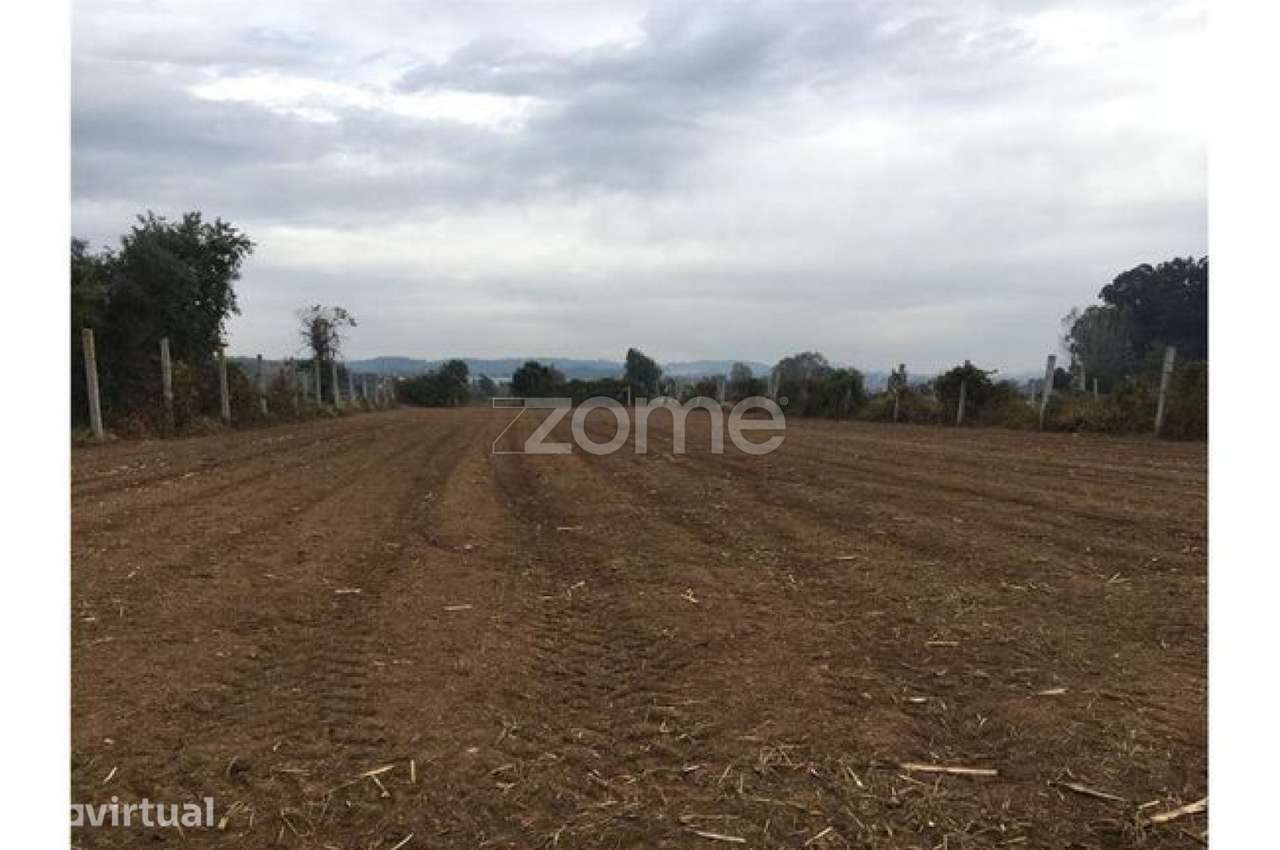 Terreno para Cultivo - Grande imagem: 3/5