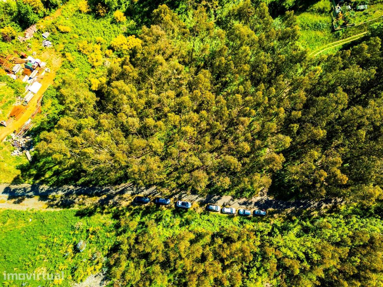 Terreno com 1510m2 - Camacha - Grande imagem: 5/14