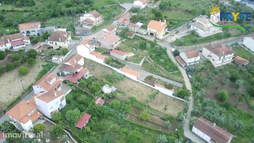 Terreno para construção plano com oliveiras situada a 2 km da Sertã - Grande imagem: 5/10