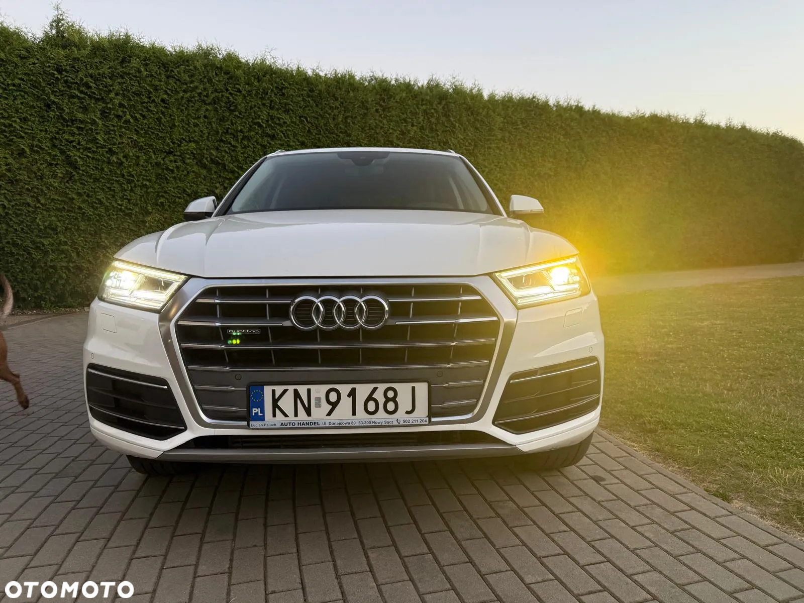Audi Q5 2.0 TFSI Quattro S tronic - 2
