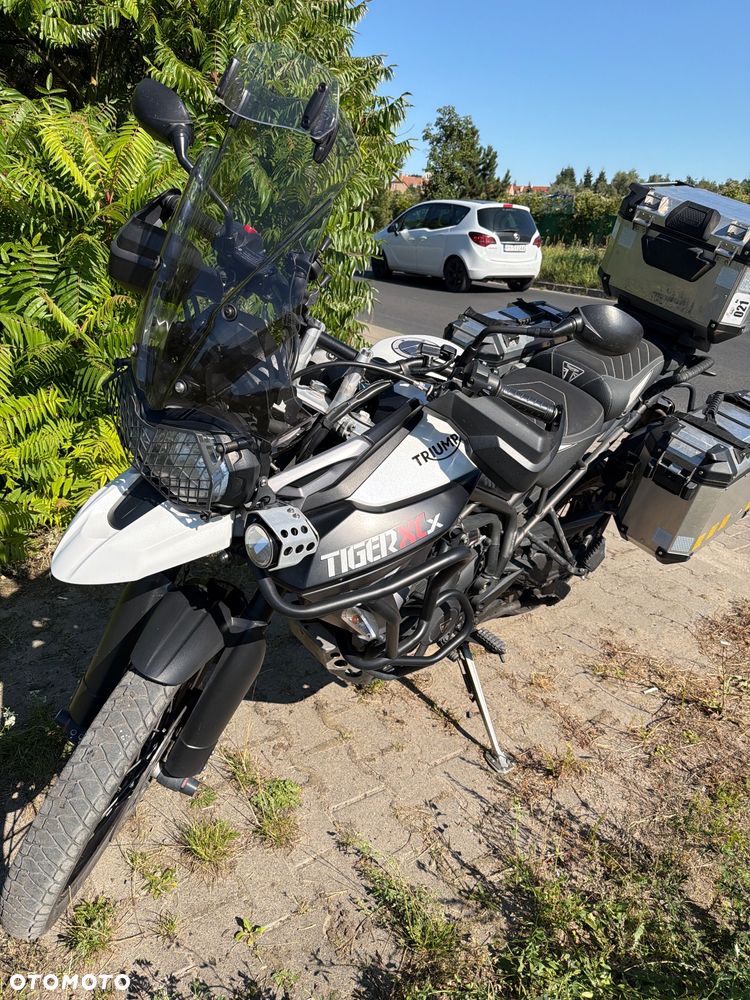 Triumph Tiger - 3