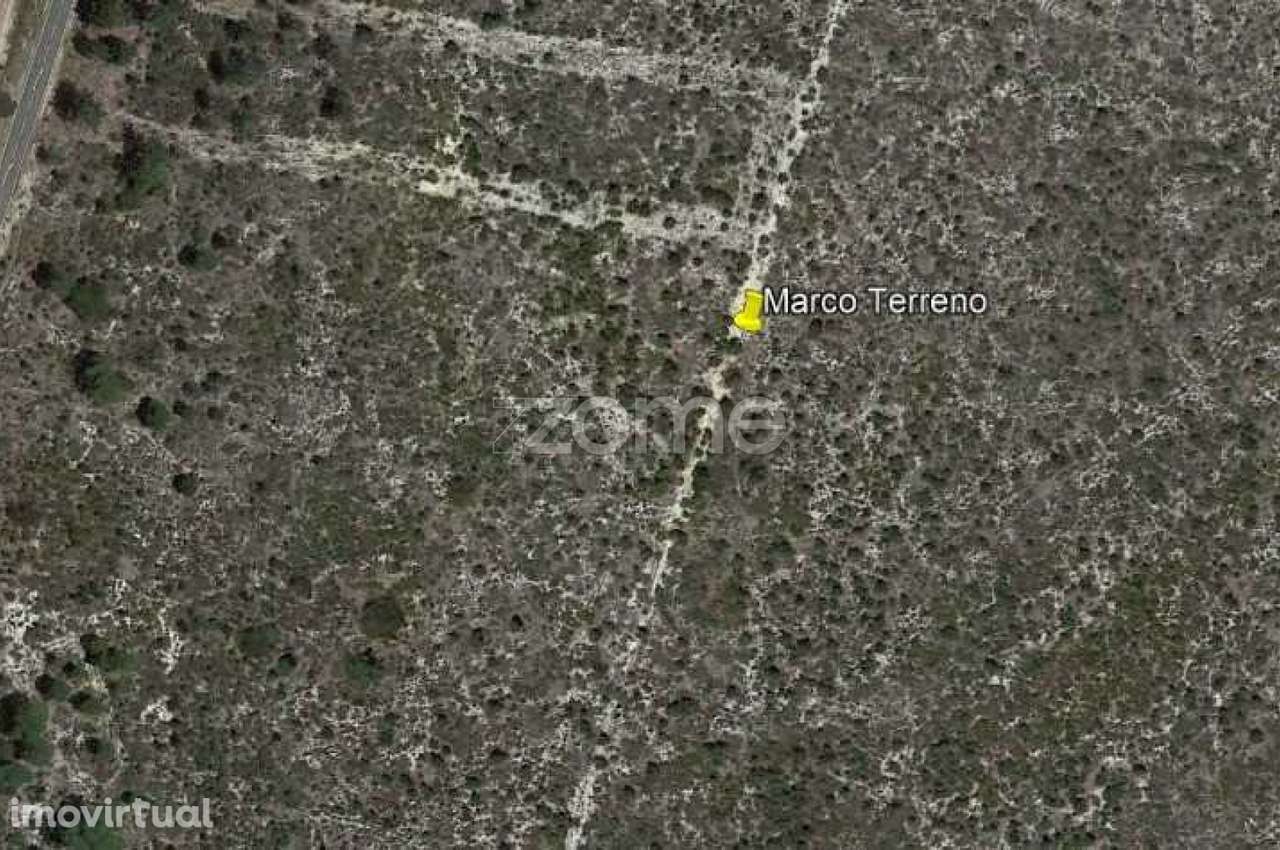 Terreno em Brejinho de Água Sul - Grande imagem: 3/15