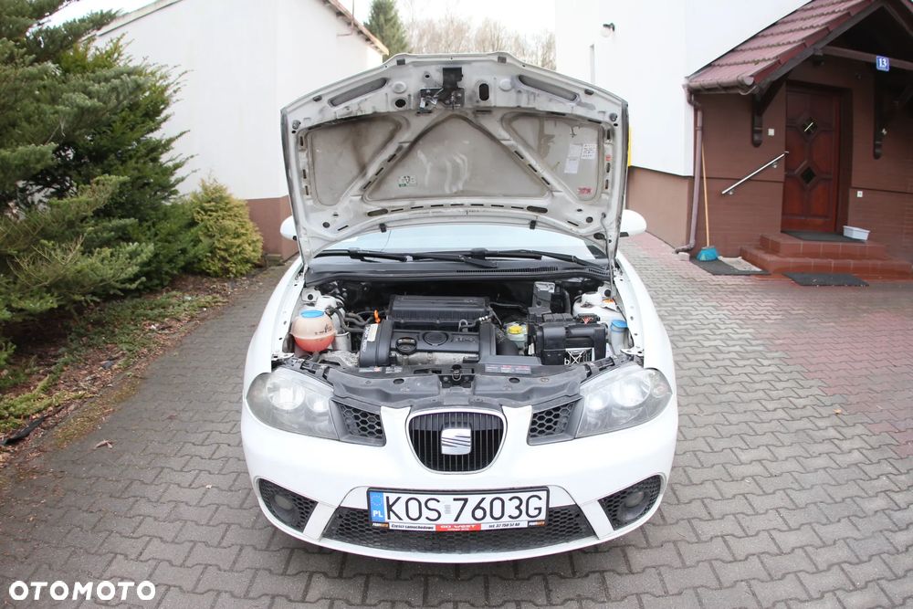 Seat Ibiza - 36