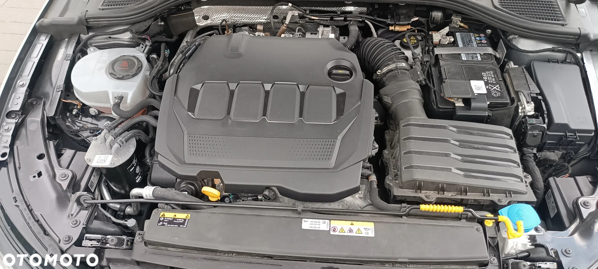 Volkswagen Golf - 8