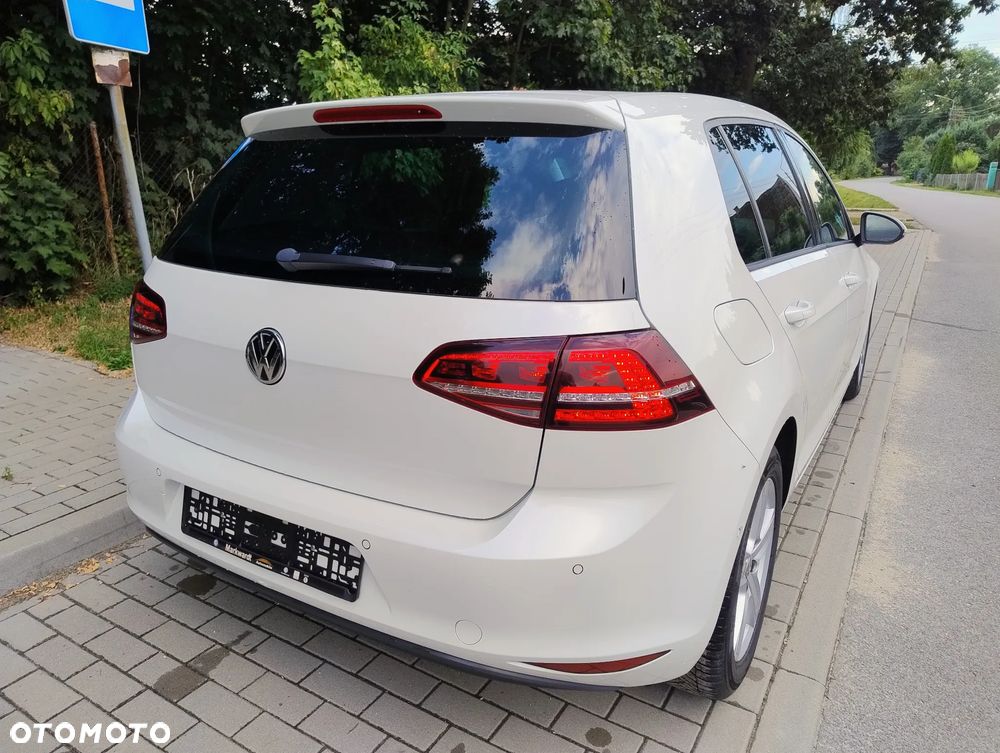 Volkswagen Golf - 36
