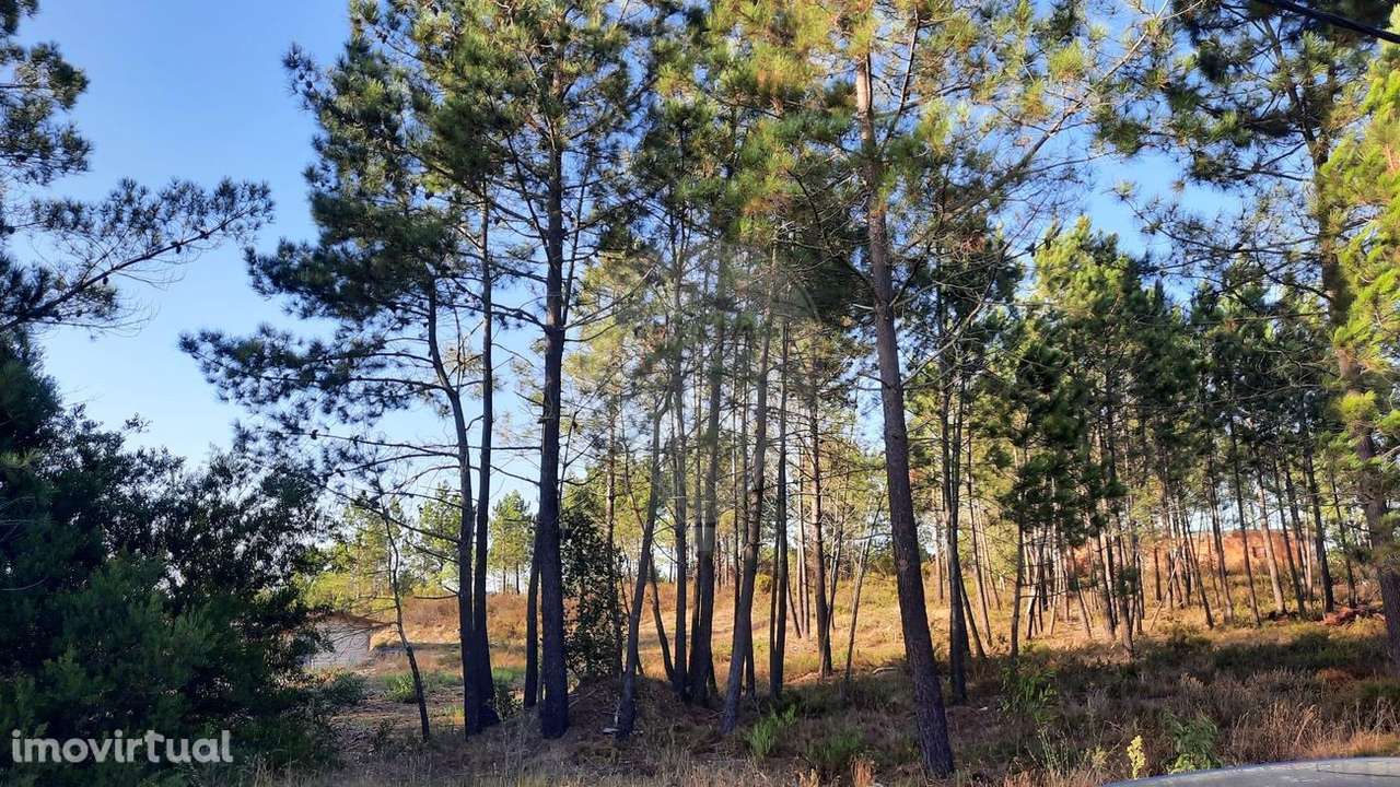 Terreno  para venda - Grande imagem: 2/9