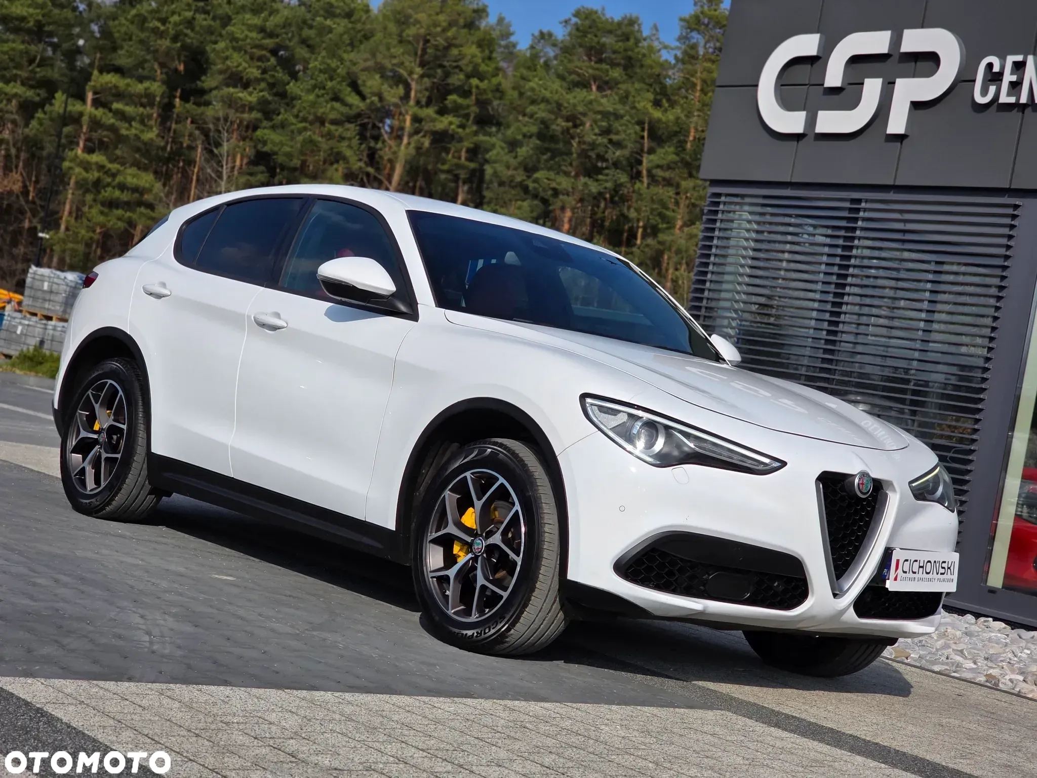 Alfa Romeo Stelvio 2.0 Turbo Executive Q4 - 36