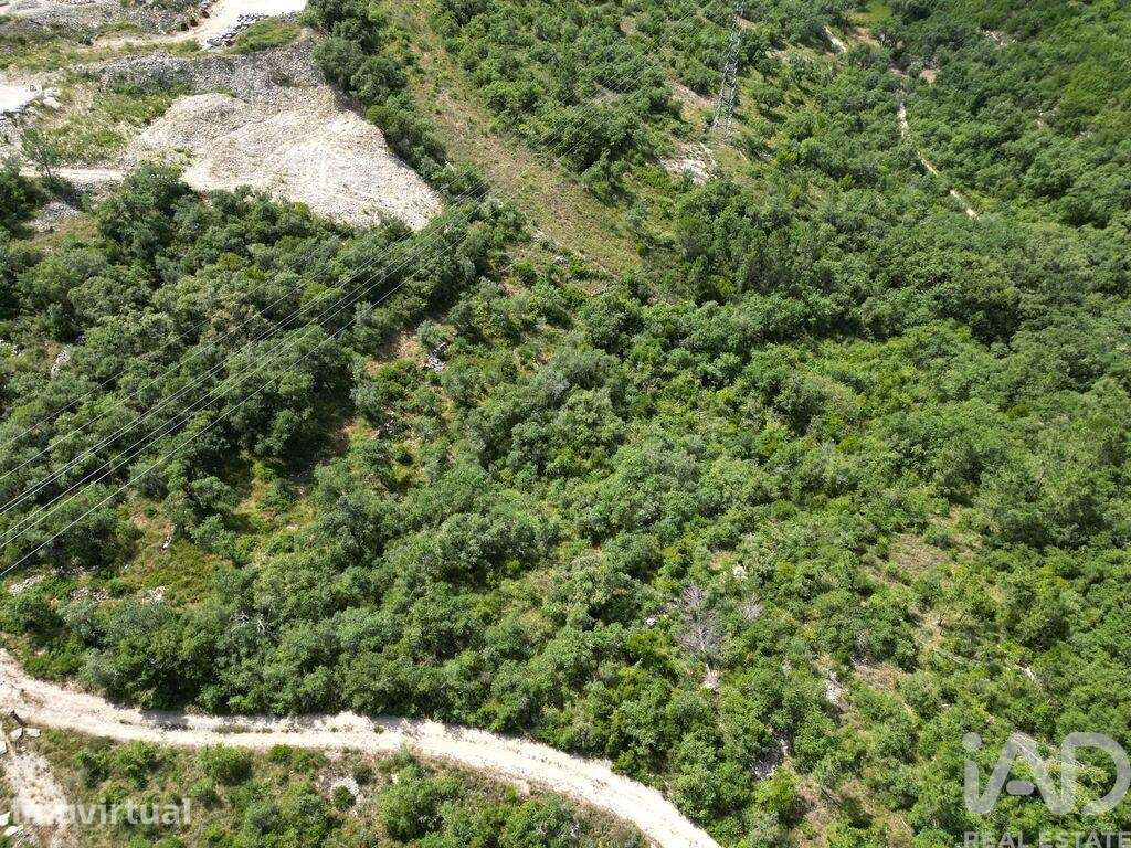 Terreno em Alqueidão da Serra - Grande imagem: 2/8