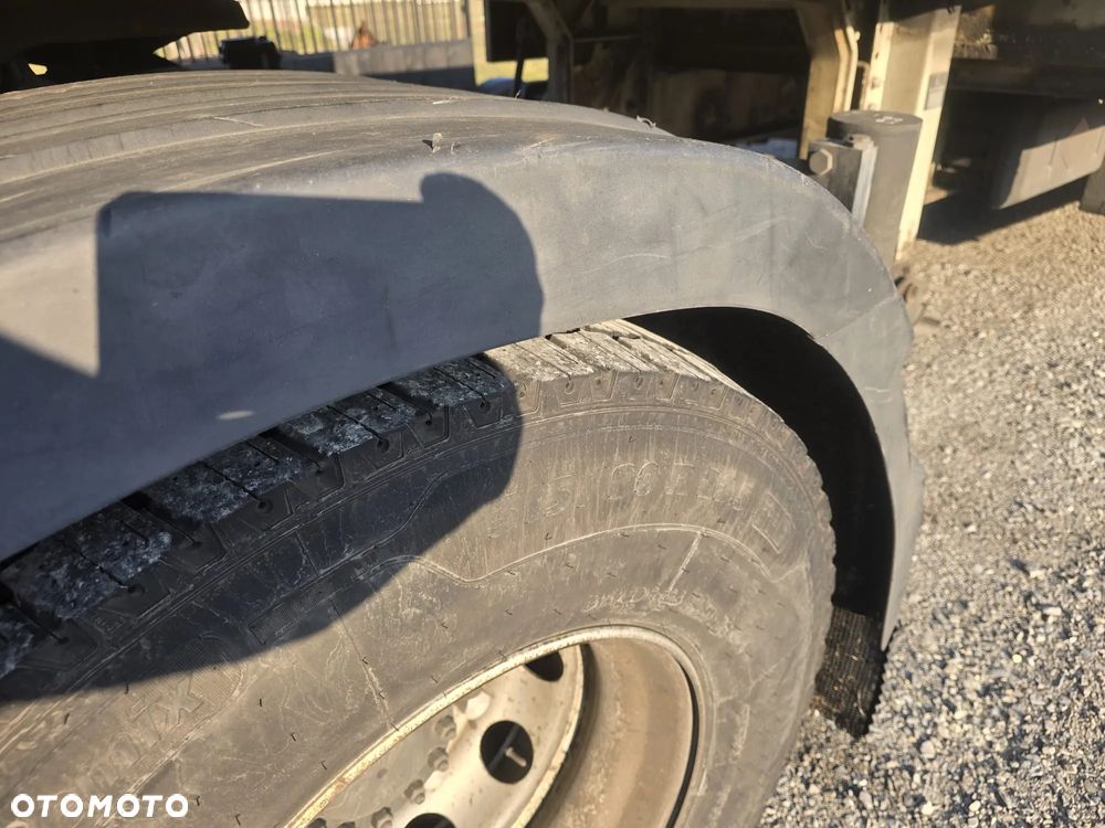 Renault Magnim 440 DXi + HDS - 19