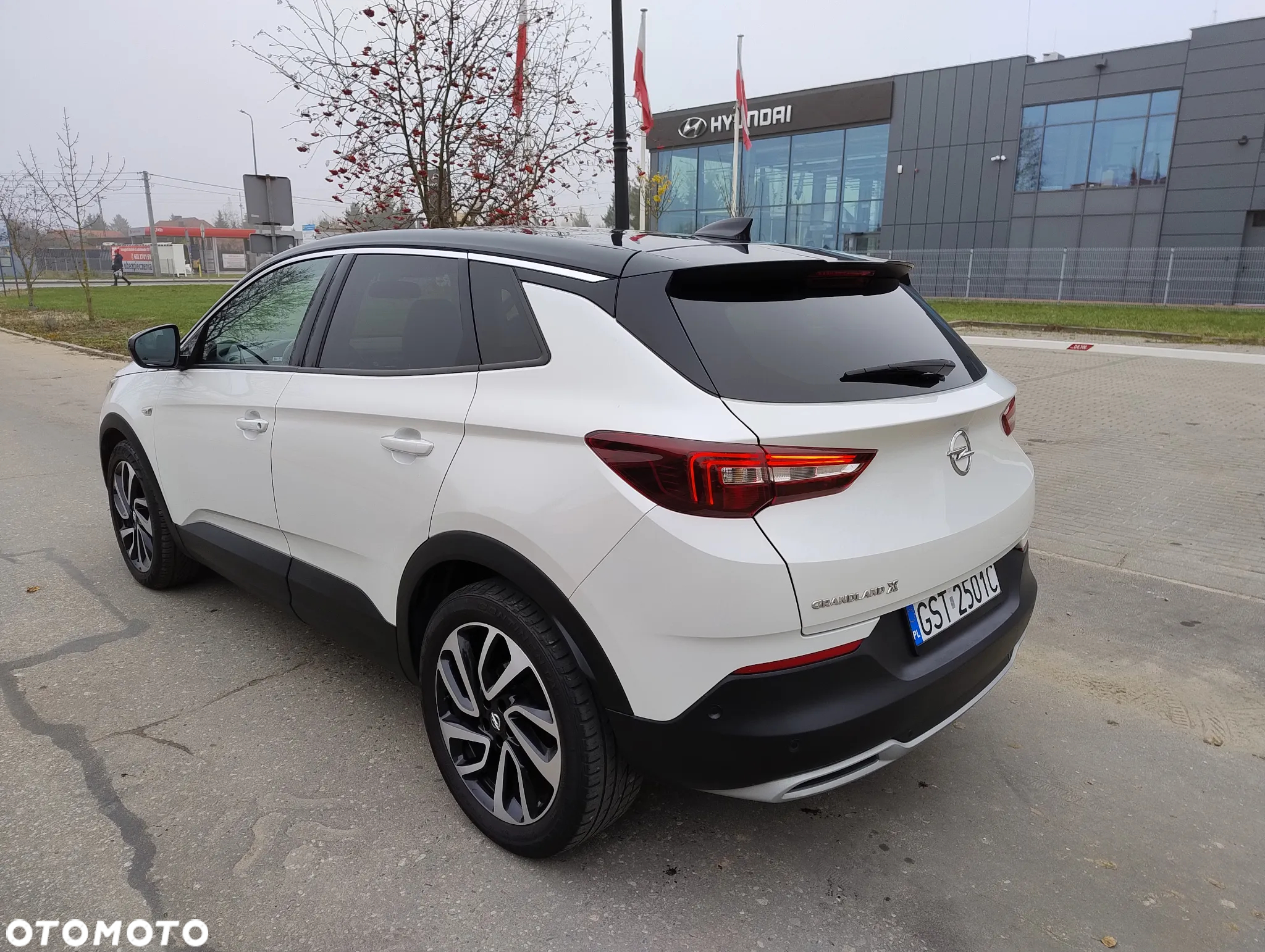 Opel Grandland X 1.6 CDTI Ultimate S&S - 13