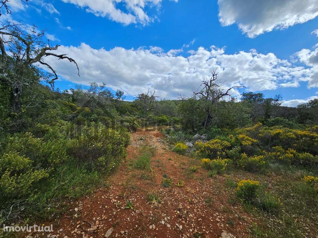 Terreno rústico junto a estrada a 5 minutos de Loulé - Grande imagem: 3/6