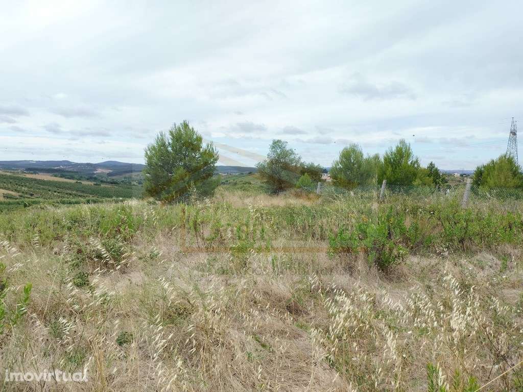 Terreno com 1440m2 com projeto aprovado - Grande imagem: 5/12