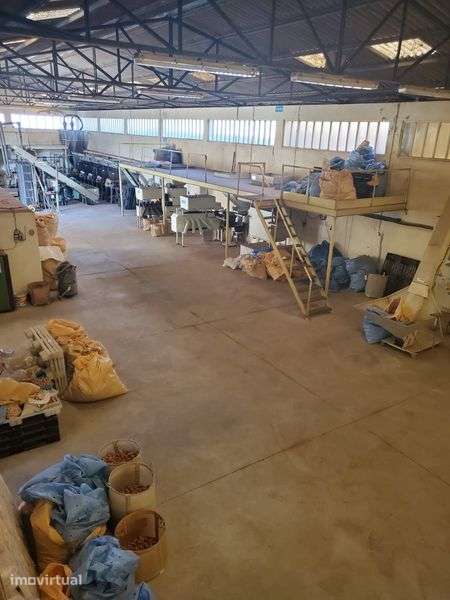 Armazém Industrial com Licença Ativa | Lourosa (Santa Maria da Feira) - Grande imagem: 5/6