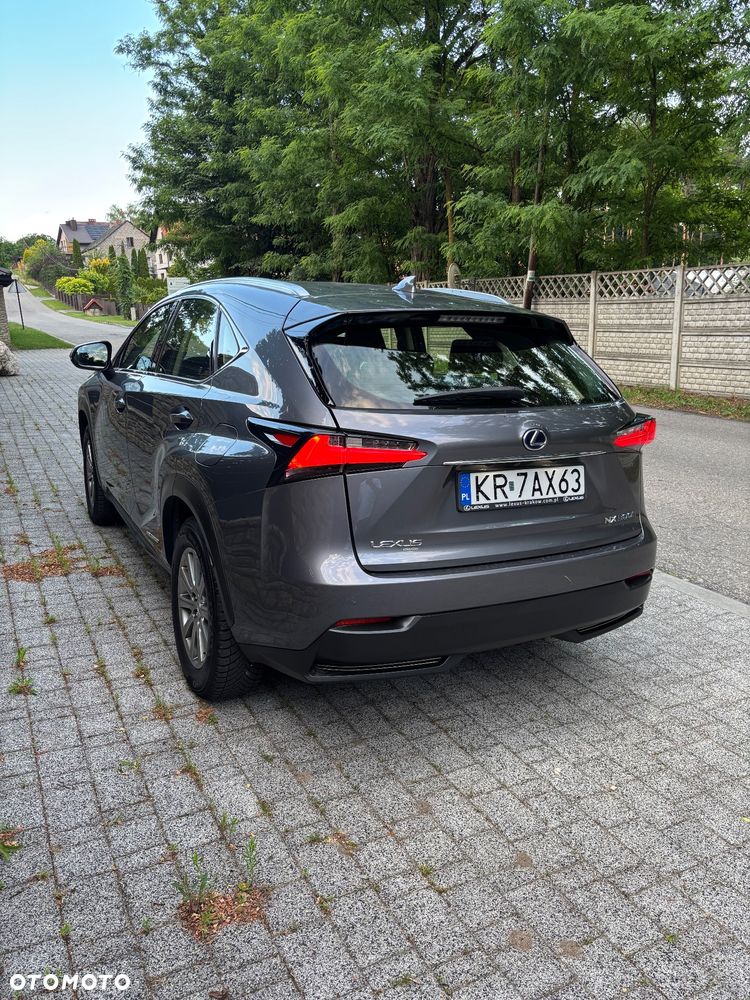 Lexus NX 300h Elegance 2WD - 6