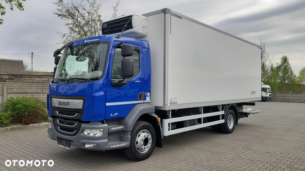 DAF LF 260 / CHŁODNIA 17 EUROPALET / WINDA