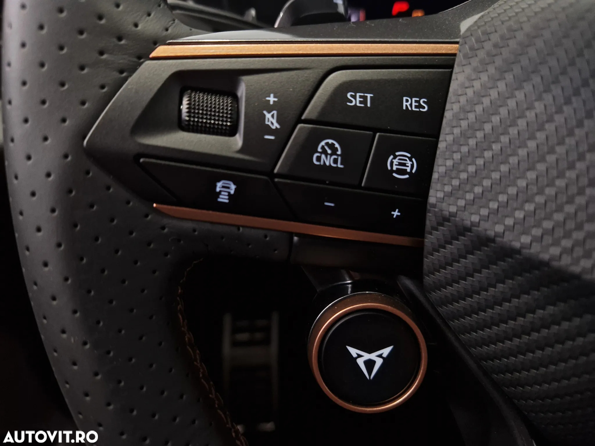 Cupra Terramar - 18