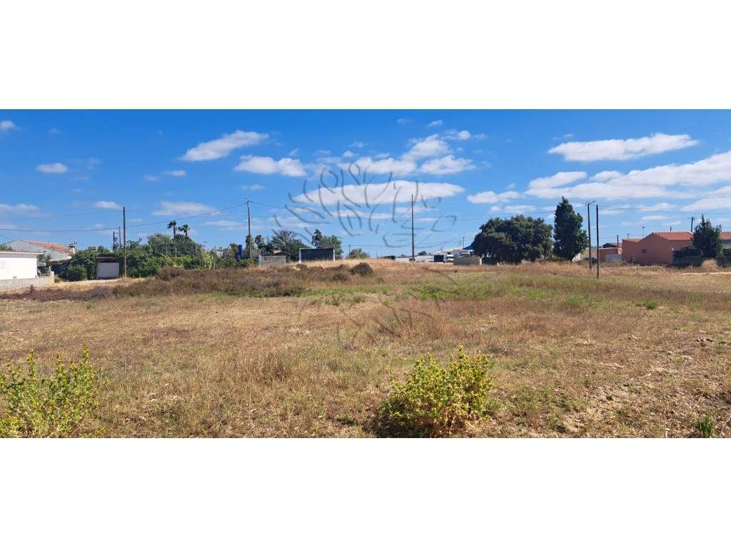 Terreno Rústico Alcochete - Grande imagem: 4/9