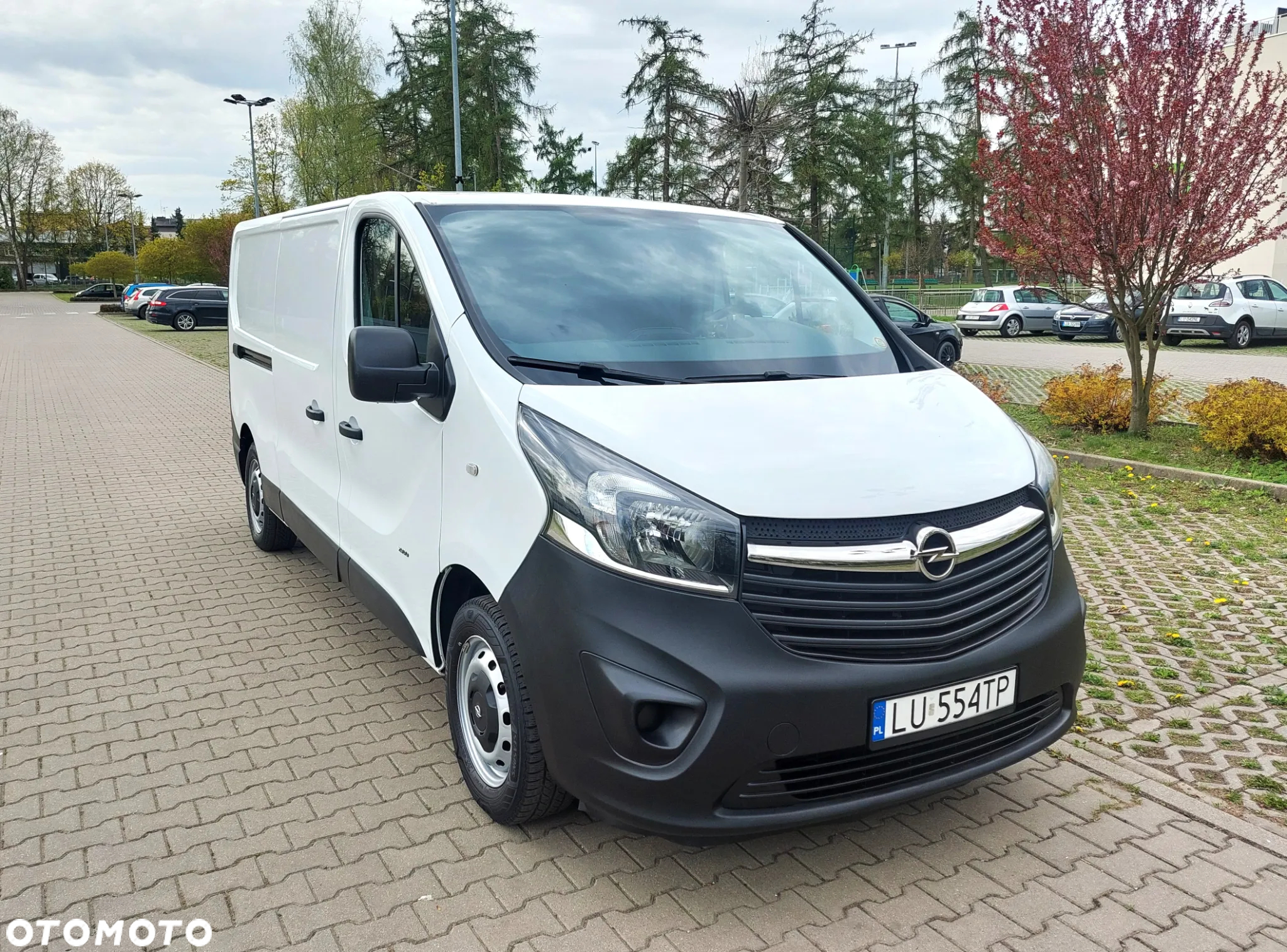 Renault Trafic - 10