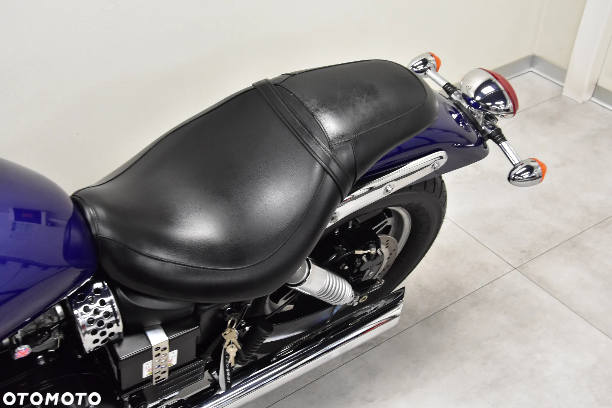 Triumph Speedmaster - 16