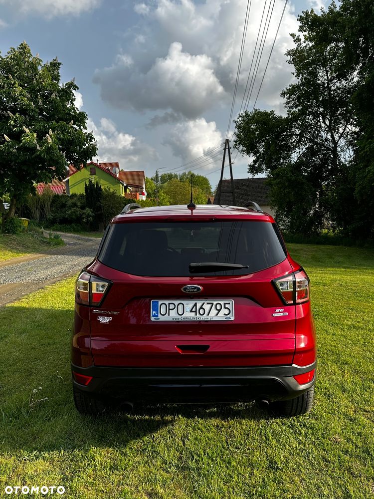 Ford Escape - 8