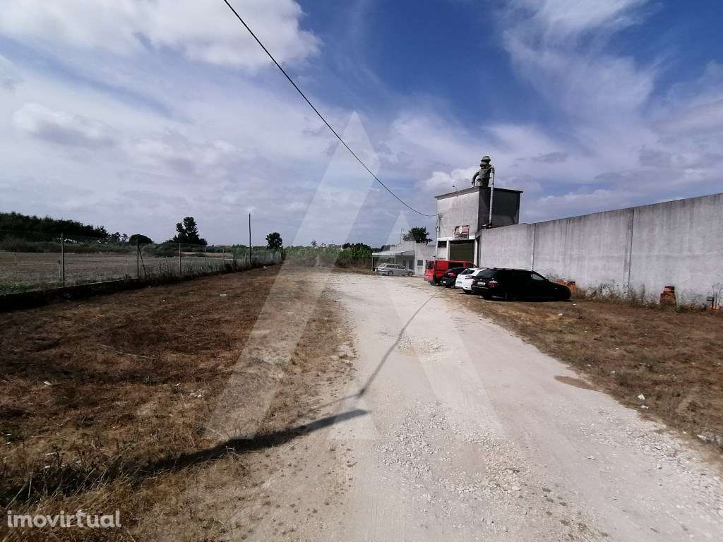 Armazém situado em Vilarinho do Bairro, Anadia - Grande imagem: 2/8