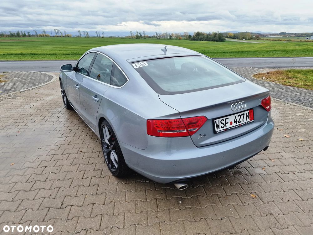 Audi A5 Sportback 3.0 TDI quattro DPF S tronic - 14